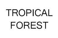 Tropical forest